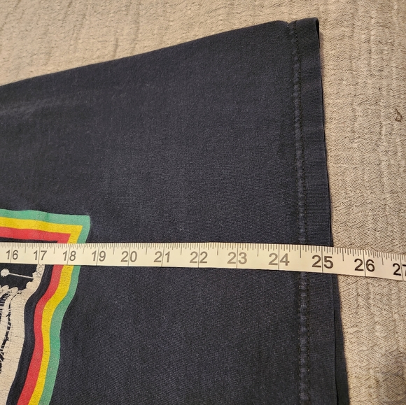 The Briggs punk rock concert tshirt LA Los Angeles RARE ~ disbanded punk group - Picture 8 of 9